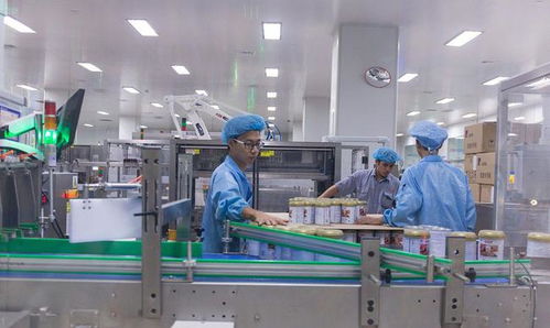 技術(shù)藍(lán)海下的代際抉擇 追夢工廠還是穿梭街頭？